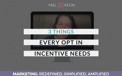 3 THINGS EVERY OPT IN INCENTIVE NEEDS