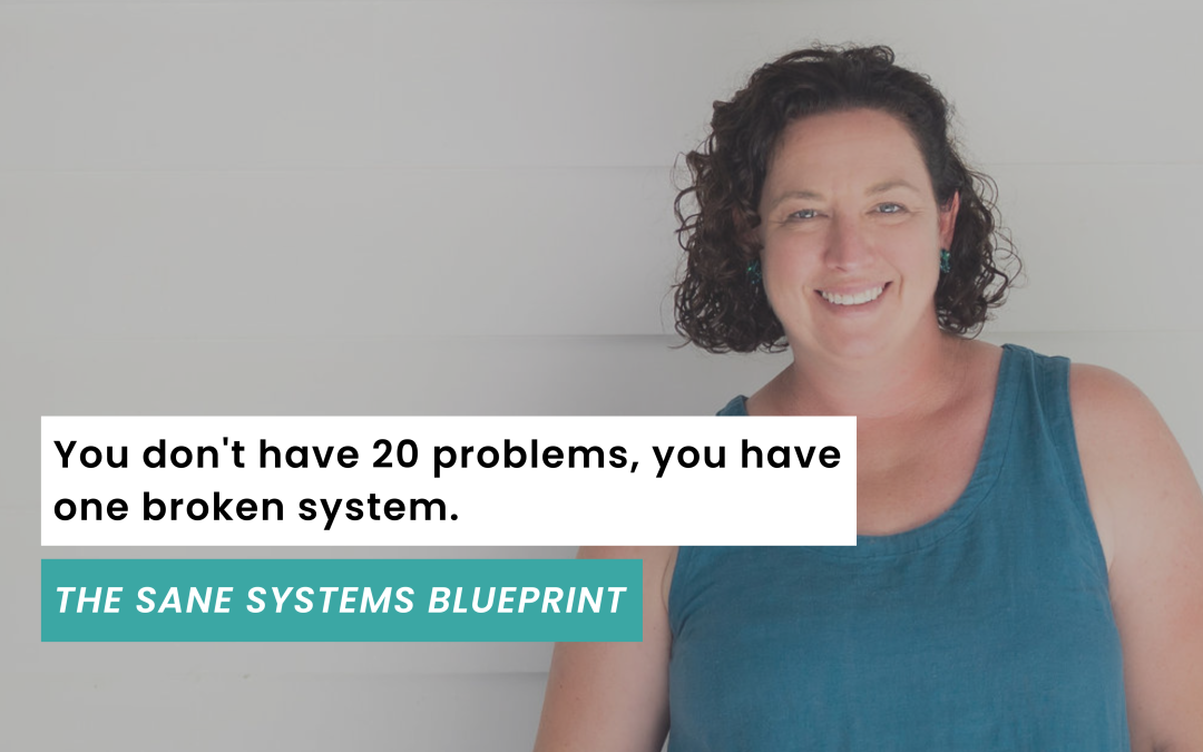 The Sane Systems Blueprint